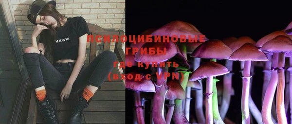 винт Алексеевка