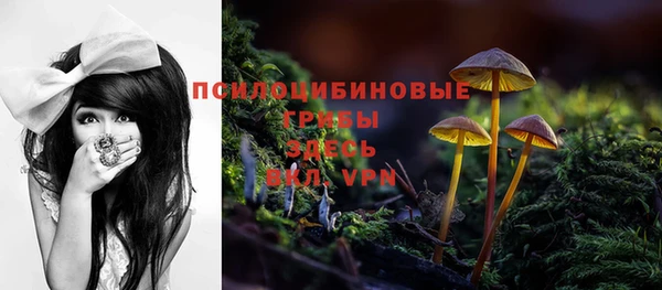 спиды Алексин