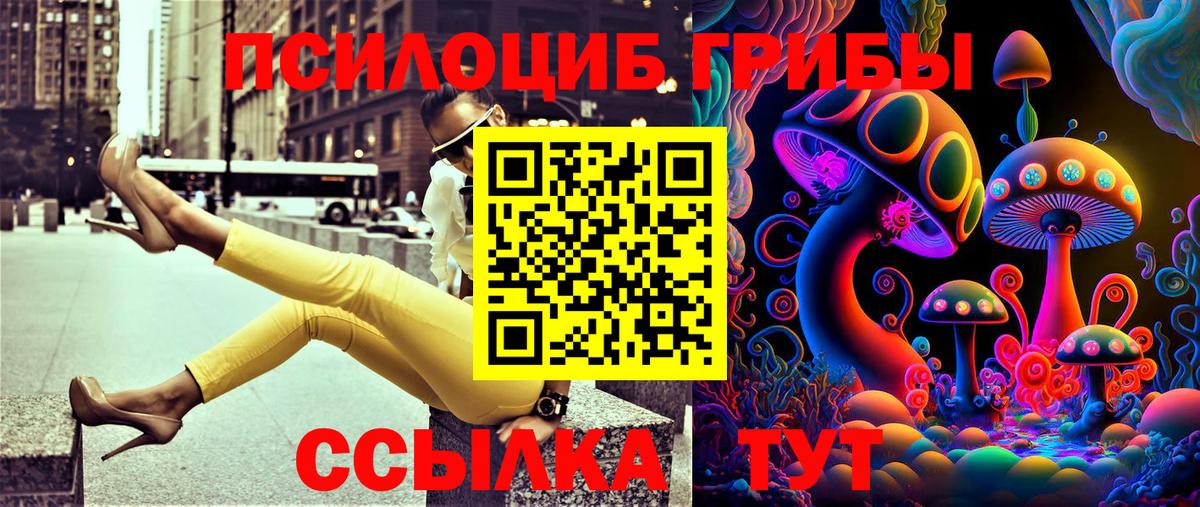 Псилоцибиновые грибы Cubensis  Вход с VPN  Нефтекамск 